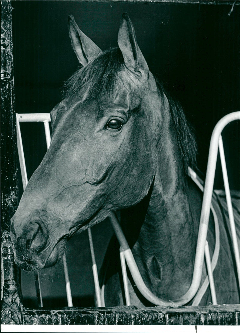 Party Politics - Vintage Photograph