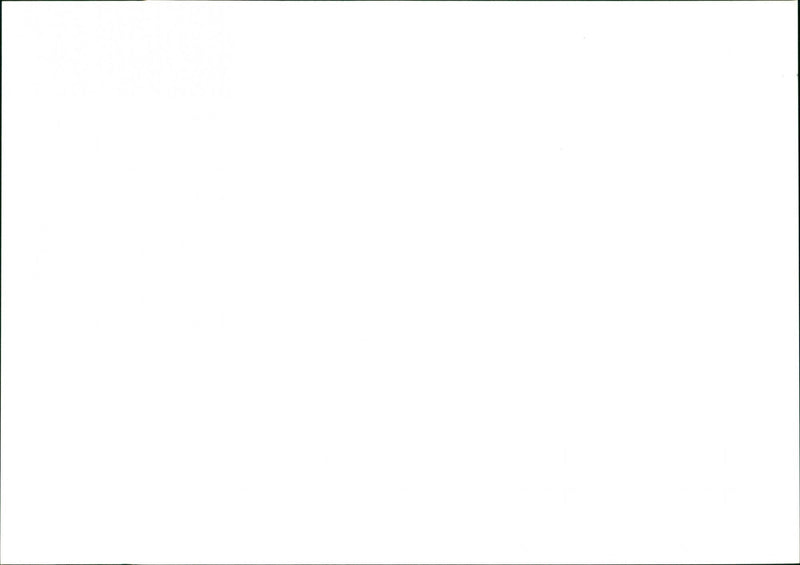 Party Politics - Vintage Photograph