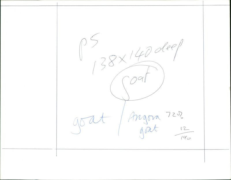 Goat - Vintage Photograph