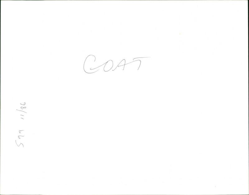 Goat - Vintage Photograph