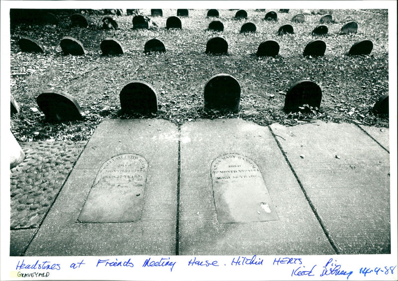 Graveyard - Vintage Photograph