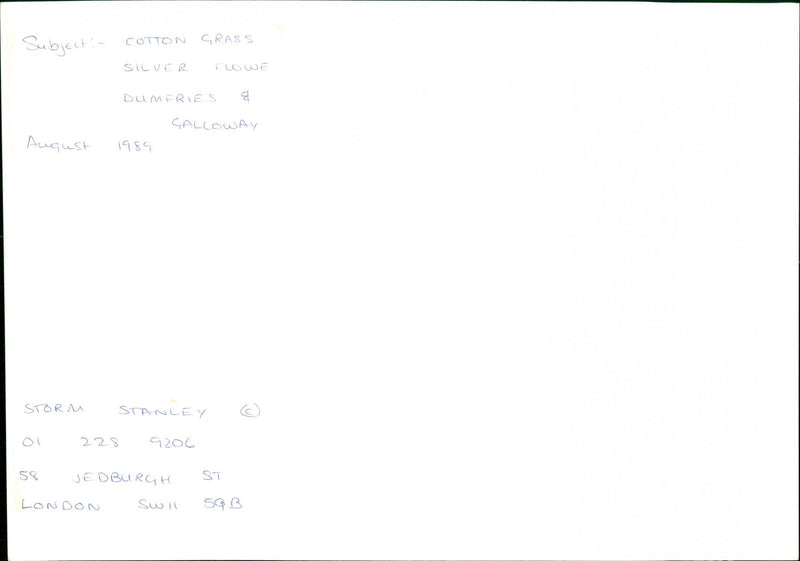 Silver Flowe - Vintage Photograph