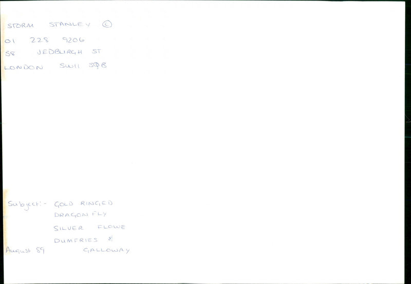 Silver Flowe - Vintage Photograph