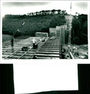 River Bray Viaduct - Vintage Photograph