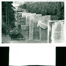 River Bray Viaduct - Vintage Photograph