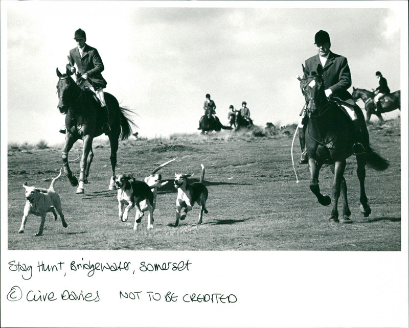 Hunting - Vintage Photograph