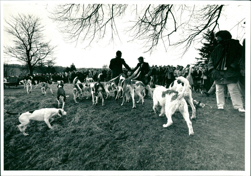 Hunt - Vintage Photograph