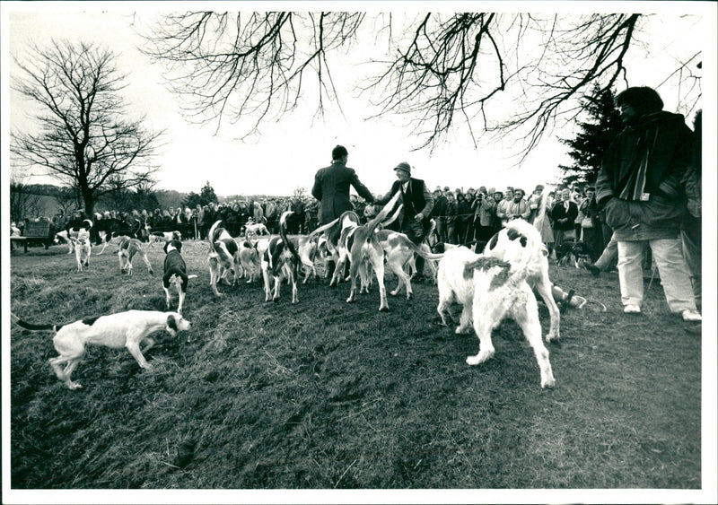 Hunt - Vintage Photograph