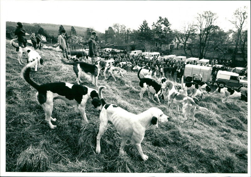 Hunt - Vintage Photograph