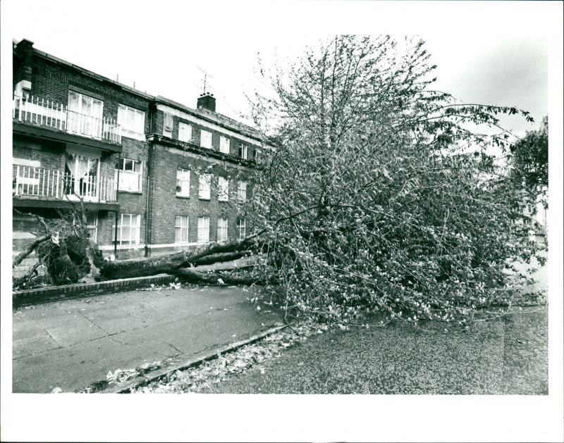 Hurricane '87 - Vintage Photograph