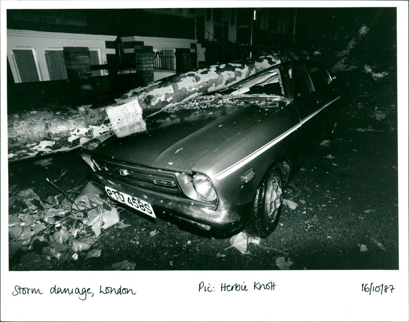 Storm Damage - Vintage Photograph