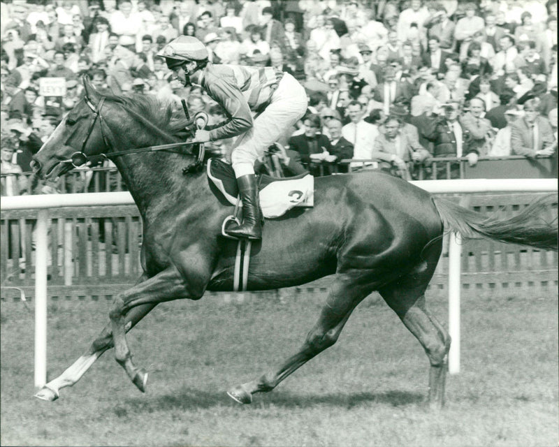 Steve Cauthen - Vintage Photograph