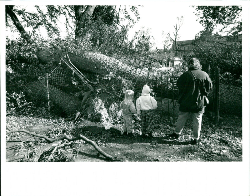 Hurricane '87 - Vintage Photograph