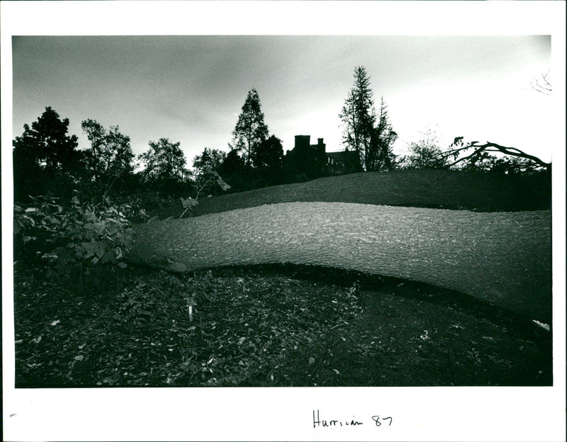 Hurricane 87 - Vintage Photograph