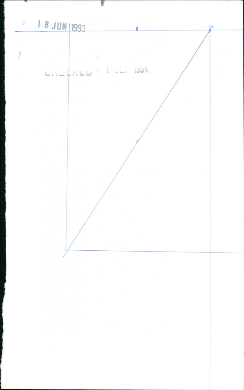 Tina Turner - Vintage Photograph