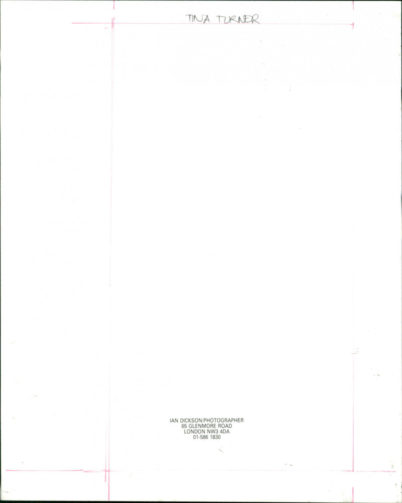 Tina Turner - Vintage Photograph