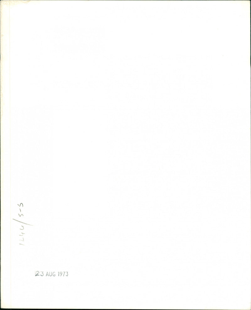 Tina Turner - Vintage Photograph