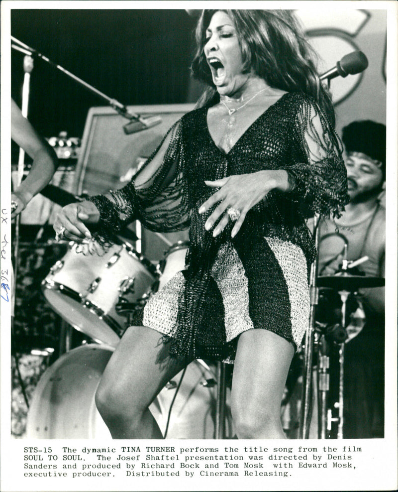 Tina Turner - Vintage Photograph