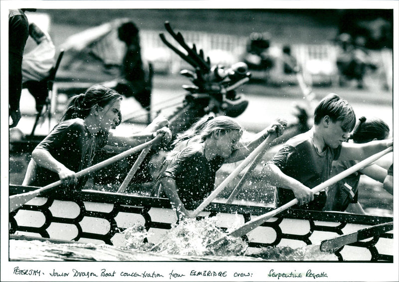 Serpentine Regatta - Vintage Photograph