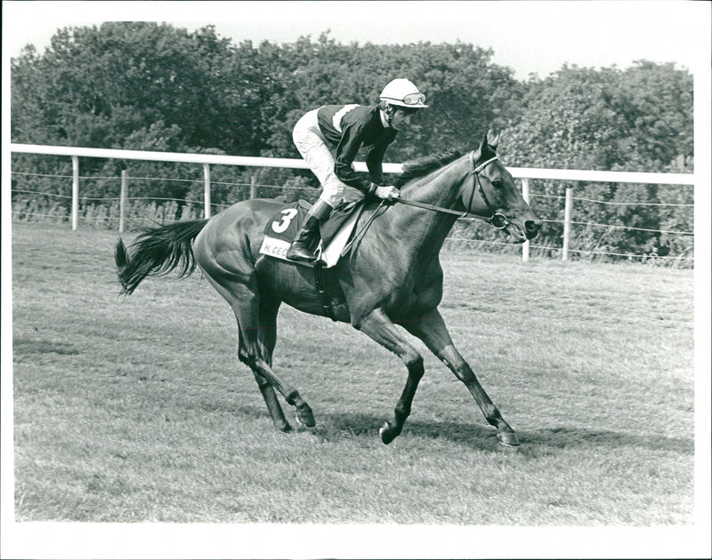Steve Cauthen - Vintage Photograph