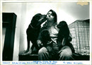 Rottweiler - Vintage Photograph