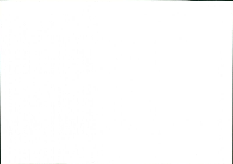 Royal Engineers - Vintage Photograph