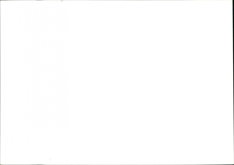 Royal Engineers - Vintage Photograph