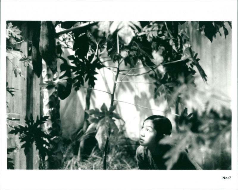 Scent of Green Papaya - Vintage Photograph