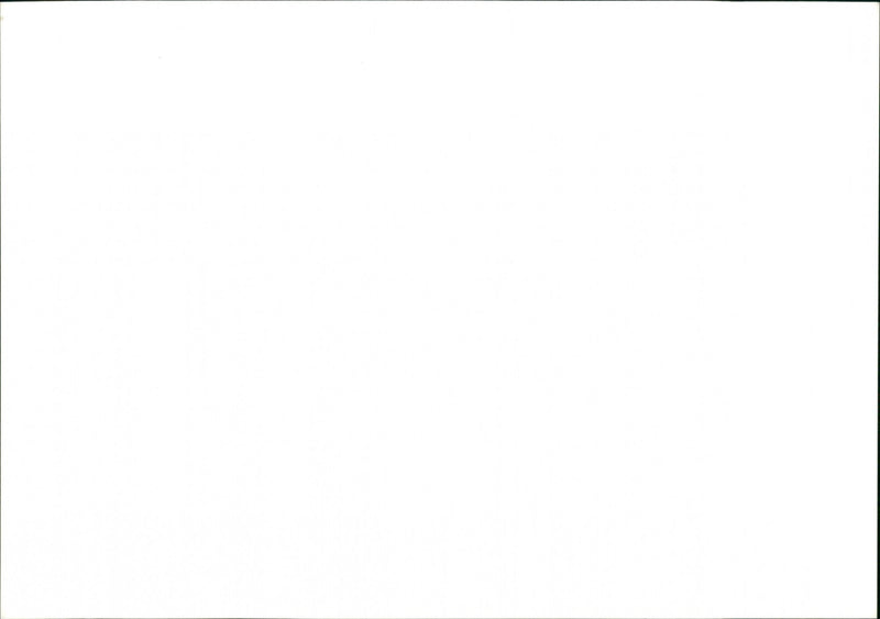 Janet and Allen Ahlberg - Vintage Photograph