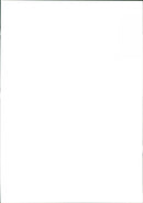 Whitney Houston - Vintage Photograph