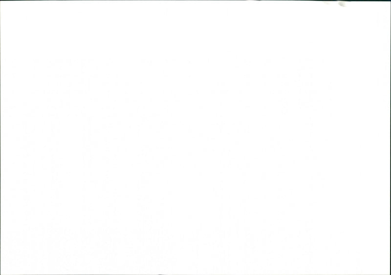 Whitney Houston - Vintage Photograph