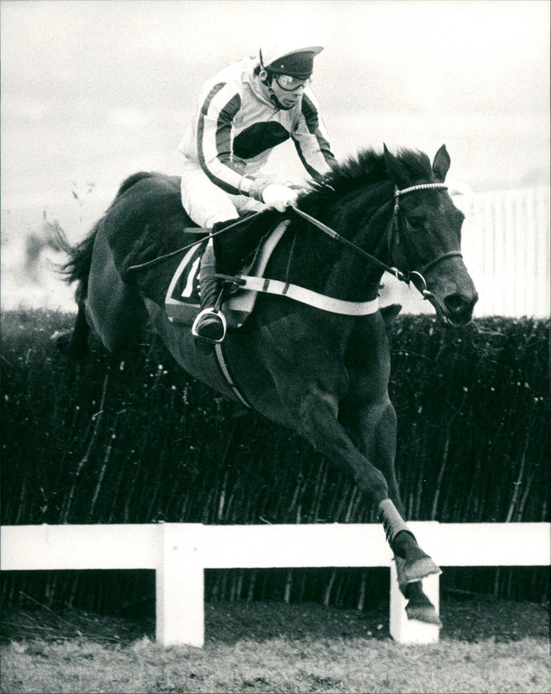 Very Promising - Vintage Photograph