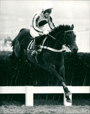 Very Promising - Vintage Photograph