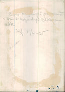 Prince Eugen on a walk in the garden at Waldemarsudde 1925