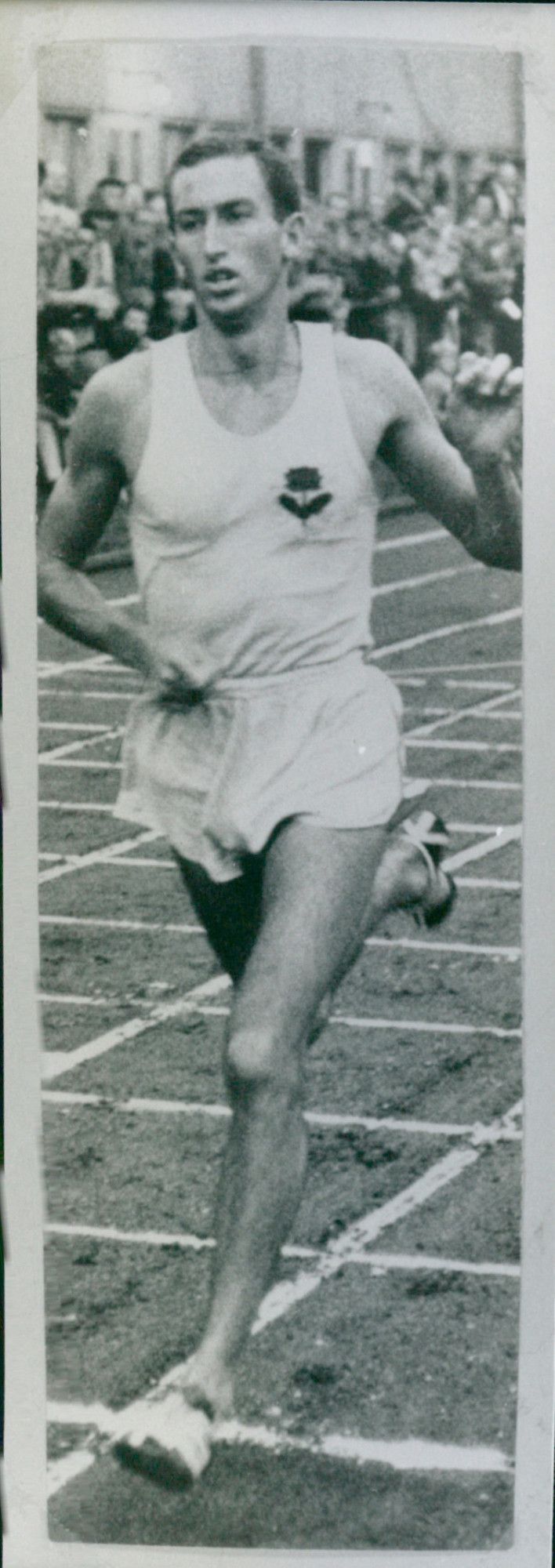 Herb Elliot, runner - Vintage Photograph