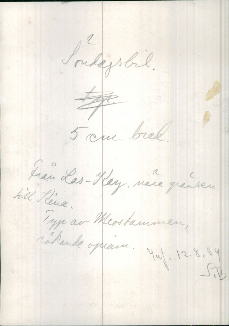 Indochina. - Vintage Photograph