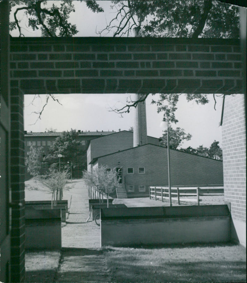 Veterinary Institute Experimental Field - Vintage Photograph