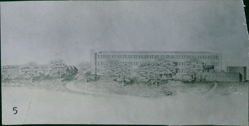 Stockholm Pictures: Veterinary College - Vintage Photograph
