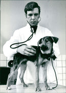 Stockholm Pictures: Veterinary College - Vintage Photograph