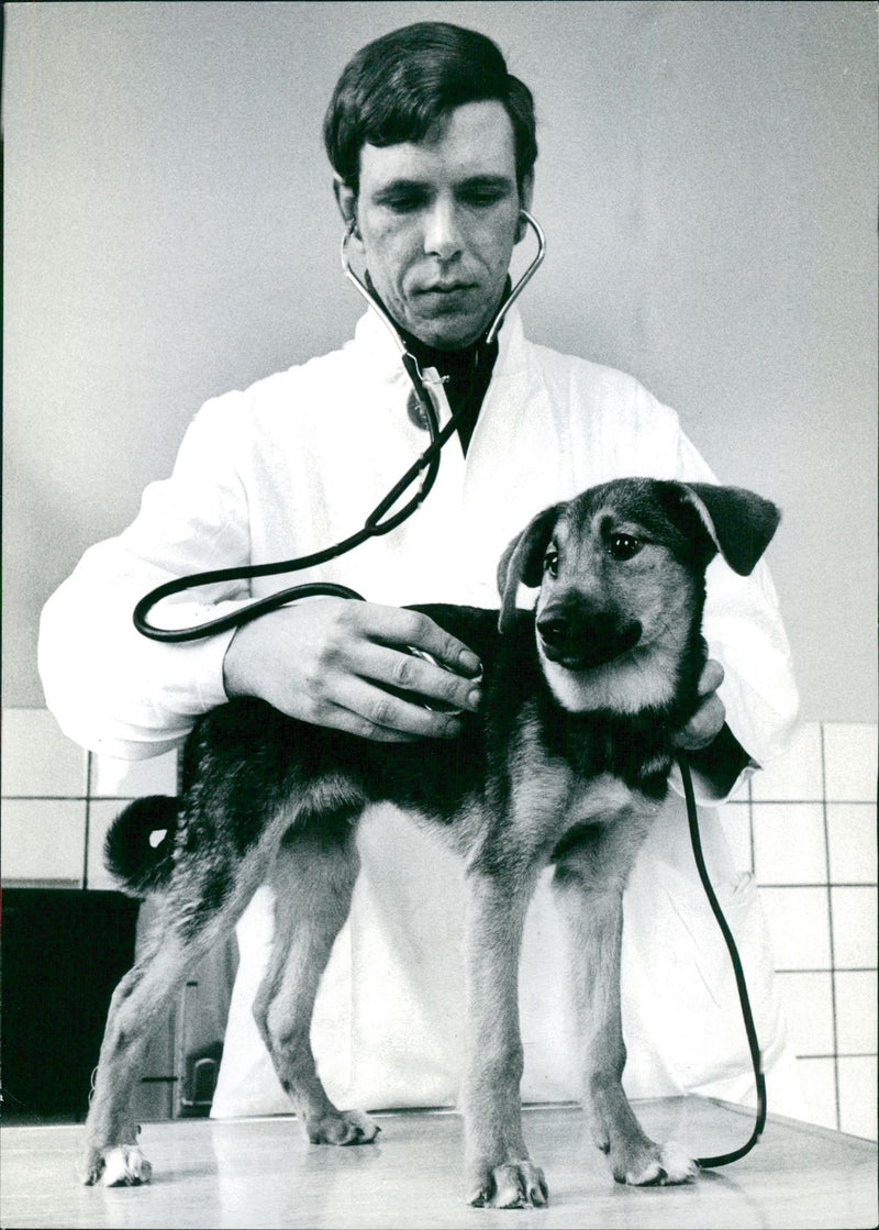 Stockholm Pictures: Veterinary College - Vintage Photograph