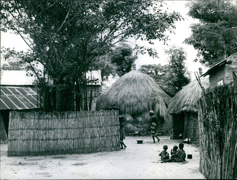 Guinea-Bissau. - Vintage Photograph