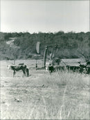 USA Energy - Vintage Photograph