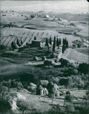 Landscape in the Southern Tuscany (Italy) - Vintage Photograph