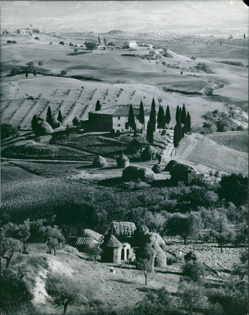 Landscape in the Southern Tuscany (Italy) - Vintage Photograph