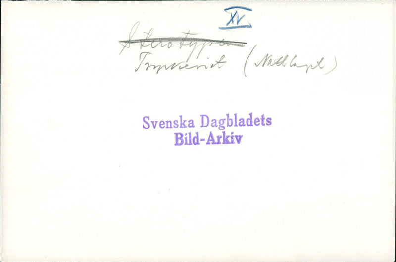 Svenska Dagbladet - Vintage Photograph