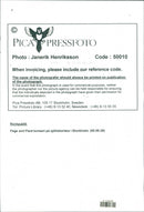 Page and Plant concert - Vintage Photograph