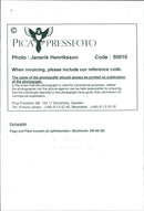 Page and Plant concert in Stockholm - Vintage Photograph