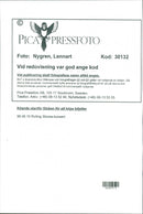 Rolling Stones concert - Vintage Photograph