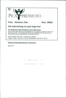 Springsteen concert in Stockholm - Vintage Photograph