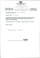 Hard rock concert in Uppsala - Vintage Photograph